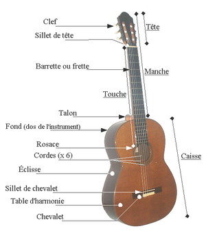 structure de la guitare